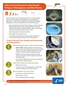 control_mosquitoes_chikv_denv_zika_Page_1