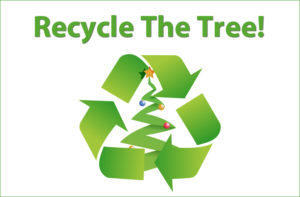 trinity-green-tree-recycle